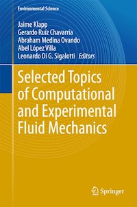 Selected Topics of Computational and Experimental Fluid Mechanics -  - E-Book