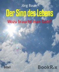 Der Sinn des Lebens - Jörg Bauer - kostenlos E-Book