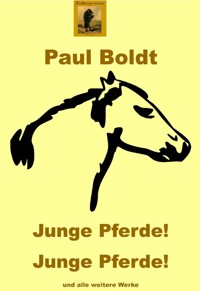Junge Pferde! Junge Pferde! - Paul Boldt - E-Book