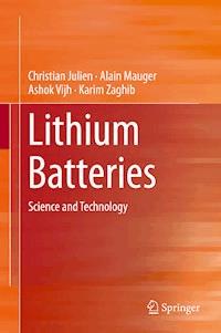 Lithium Batteries - Christian Julien - E-Book