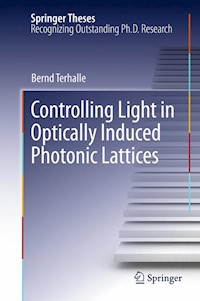Controlling Light in Optically Induced Photonic Lattices - Bernd Terhalle - E-Book