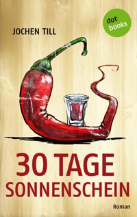 30 Tage Sonnenschein - Jochen Till - E-Book