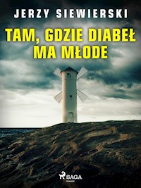 Tam, gdzie diabeł ma młode - Jerzy Siewierski - E-Book