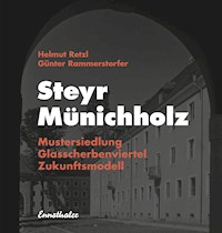 Steyr - Münichholz - Helmut Retzl - E-Book
