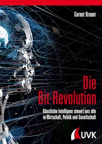 Die Bit-Revolution - Gernot Brauer - E-Book