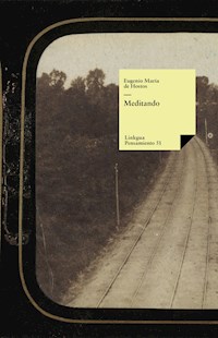 Meditando - Eugenio María de Hostos y Bonilla - E-Book