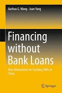 Financing without Bank Loans - Jiazhuo G. Wang - E-Book