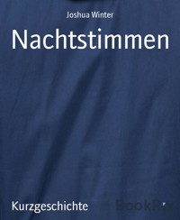 Nachtstimmen - Joshua Winter - kostenlos E-Book