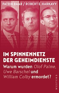 Im Spinnennetz der Geheimdienste - Patrik Baab - E-Book