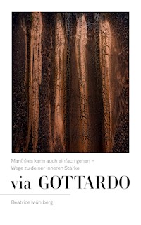 Via Gottardo - Beatrice Mühlberg - E-Book