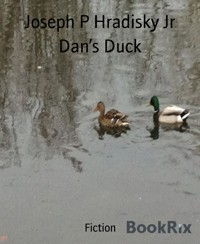 Dan’s Duck - Joseph P Hradisky Jr - E-Book