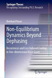 Non-Equilibrium Dynamics Beyond Dephasing - Bernhard Rauer - E-Book