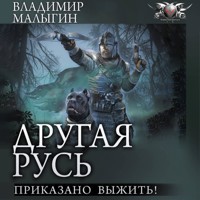 Другая Русь. Приказано выжить! - Владимир Малыгин - Hörbuch