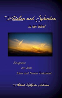 Zeichen und Wunder in der Bibel - Antonia Katharina Tessnow - E-Book