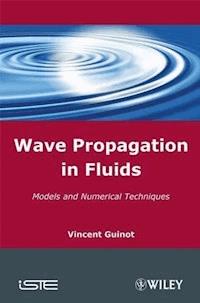 Wave Propagation in Fluids - Vincent Guinot - E-Book