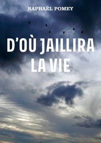 D’où jaillira la vie - Raphaël Pomey - E-Book