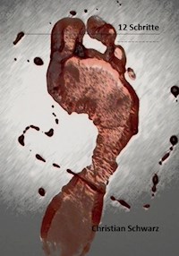 12 Schritte - Christian Schwarz - E-Book