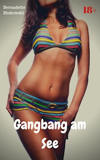 Gangbang am See - Bernadette Binkowski - E-Book