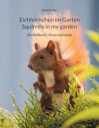 Eichhörnchen im Garten / Squirrels in my garden - Mario Porten - E-Book