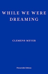 While We Were Dreaming - Clemens Meyer - E-Book