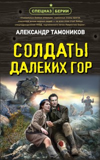 Солдаты далеких гор - Тамоников Александр - E-Book