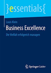 Business Excellence - Louis Klein - E-Book