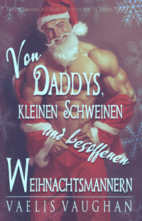 Von Daddys, kleinen Schweinen und besoffenen Weihnachtsmännern - Vaelis Vaughan - E-Book
