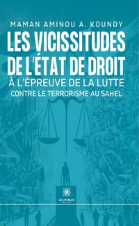 Les vicissitudes de l’État de droit à l’épreuve de la lutte contre le terrorisme au Sahel - Maman Aminou A. Koundy - E-Book
