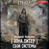 Зона Питер. Сбой системы - Андрей Нуждин - Hörbuch