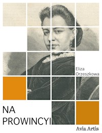 Na prowincyi - Eliza Orzeszkowa - E-Book