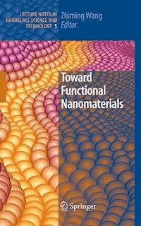 Toward Functional Nanomaterials -  - E-Book