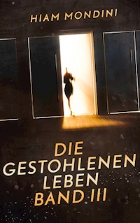 Die gestohlenen Leben Band III - Hiam Mondini - E-Book