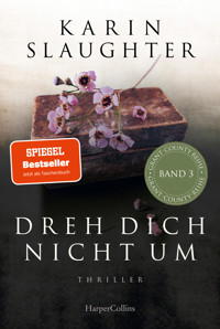 Dreh dich nicht um - Karin Slaughter - E-Book