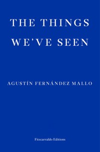 The Things We've Seen - Agustín Fernández Mallo - E-Book