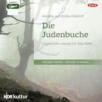 Die Judenbuche - Annette von Droste-Hülshoff - Hörbuch