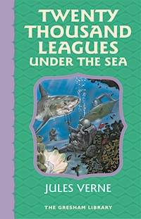 Twenty Thousand Leagues Under the Sea - Jules Verne. - E-Book