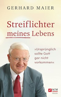 Streiflichter meines Lebens - Gerhard Maier - E-Book