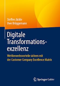 Digitale Transformationsexzellenz - Steffen Jäckle - E-Book