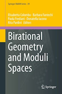 Birational Geometry and Moduli Spaces -  - E-Book