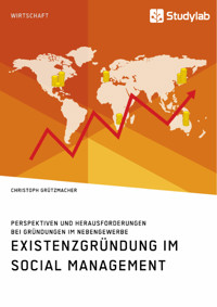 Existenzgründung im Social Management. Perspektiven und Herausforderungen bei Gründungen im Nebengewerbe - Christoph Grützmacher - E-Book
