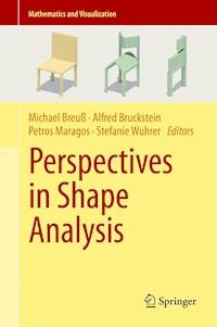 Perspectives in Shape Analysis -  - E-Book