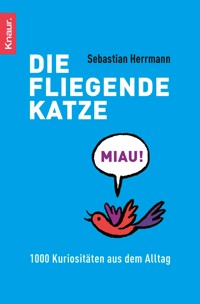 Die fliegende Katze - Sebastian Herrmann - E-Book