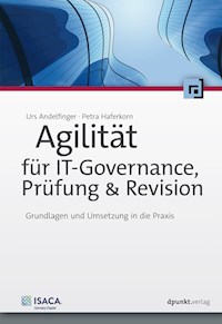 Agilität für IT-Governance, Prüfung & Revision - Urs Andelfinger - E-Book