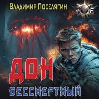 Дон. Бессмертный - Владимир Поселягин - Hörbuch