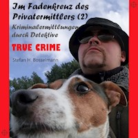 Im Fadenkreuz des Privatermittlers (2) - Stefan H. Bosselmann - Hörbuch