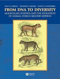 From DNA to Diversity - Sean B. Carroll - E-Book