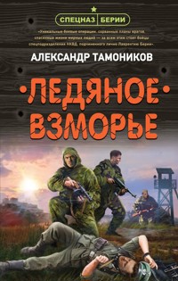 Ледяное взморье - Тамоников Александр - E-Book