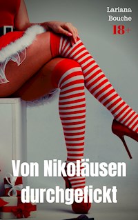 Von Nikoläusen durchgefickt - Lariana Bouche - E-Book