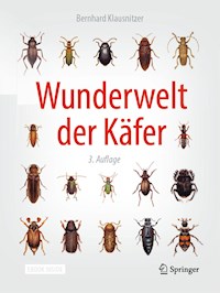 Wunderwelt der Käfer - Bernhard Klausnitzer - E-Book