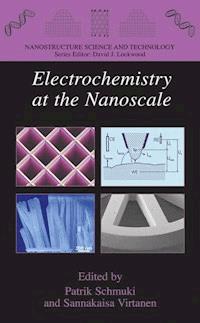 Electrochemistry at the Nanoscale - - E-Book